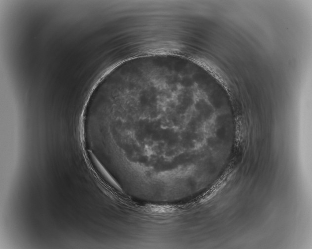 X0000097871031200803211310