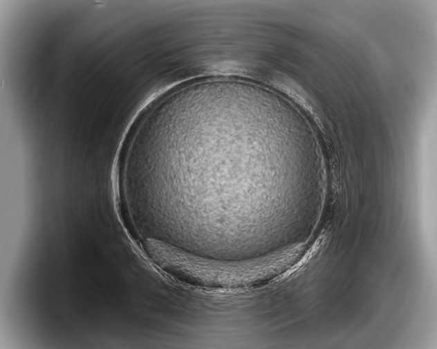 X0000097871032200803211310