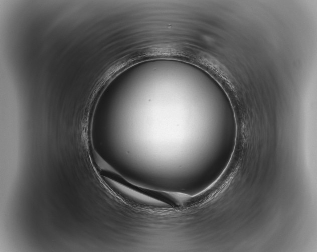 X0000097871033200803211310