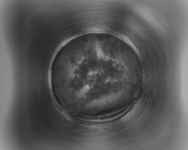 X0000097871035200803211310