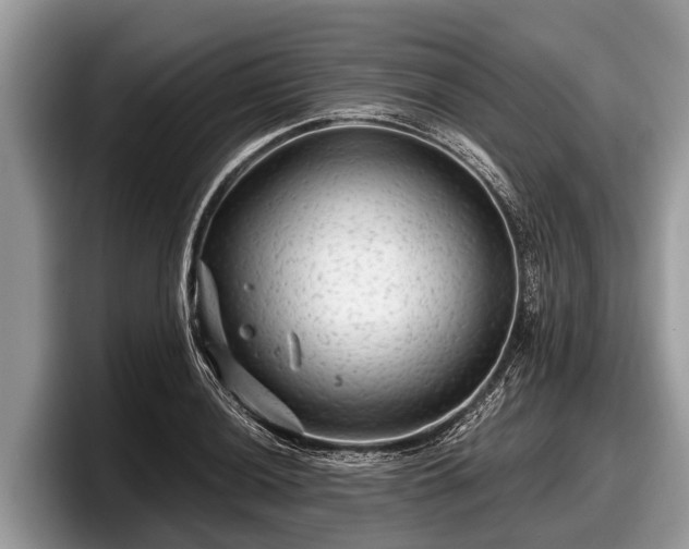 X0000097871036200803211310