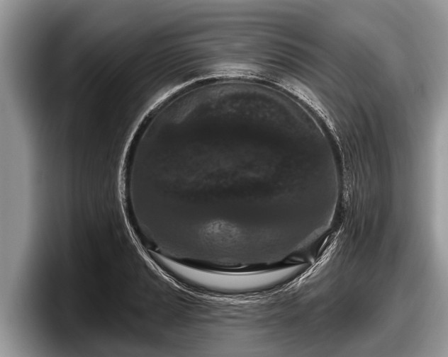X0000097871037200803211310