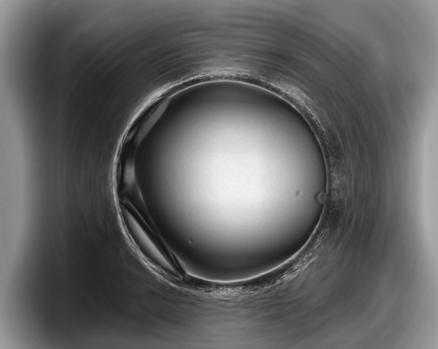 X0000097871038200803211310