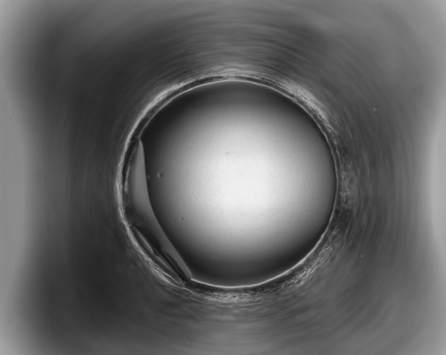 X0000097871040200803211310