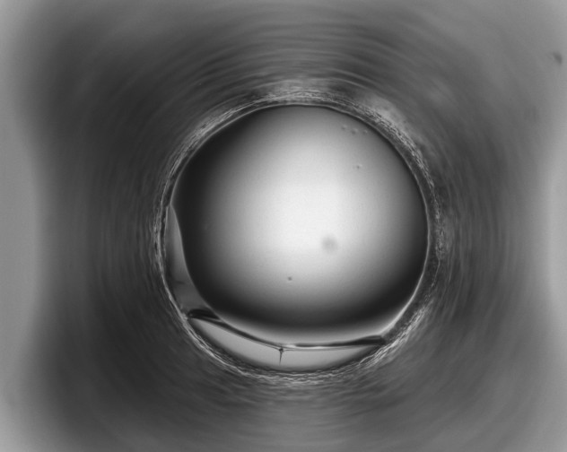 X0000097871041200803211310