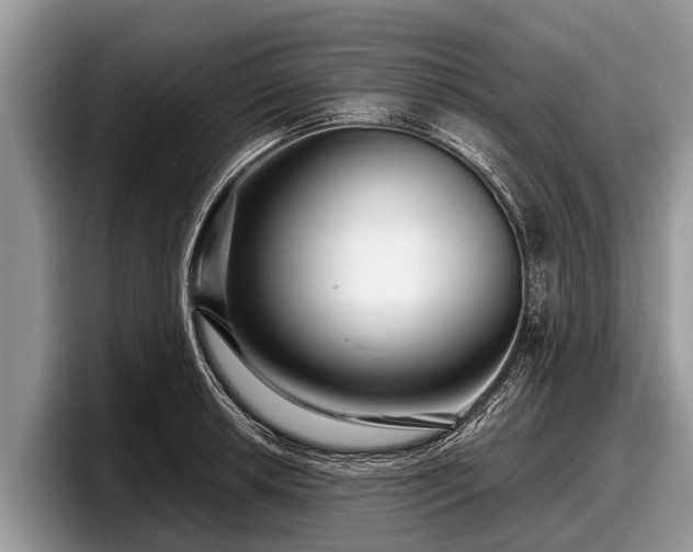 X0000097871042200803211310