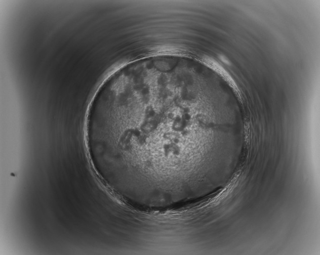 X0000097871043200803211310