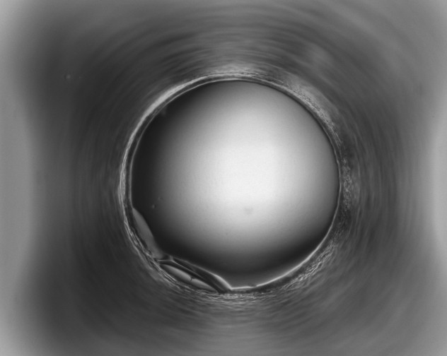 X0000097871044200803211310