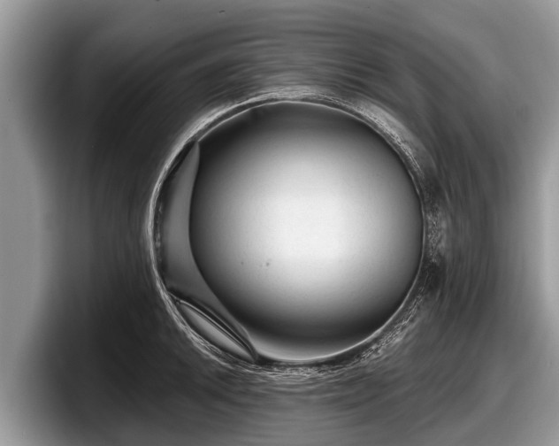 X0000097871046200803211310