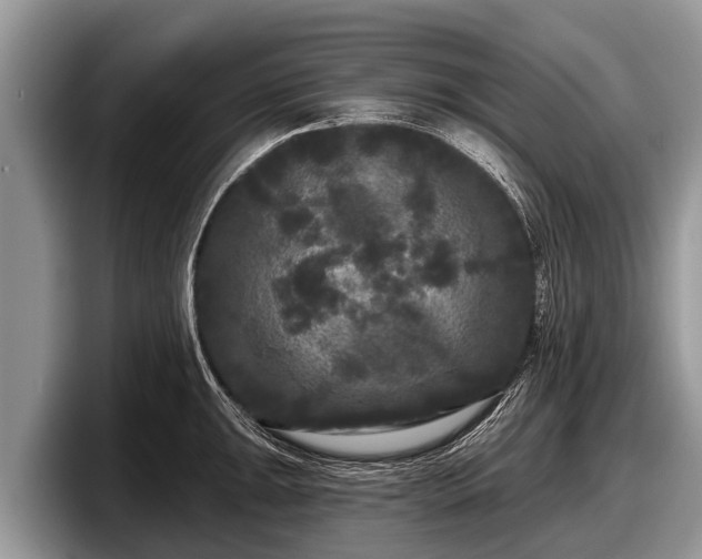 X0000097871047200803211310