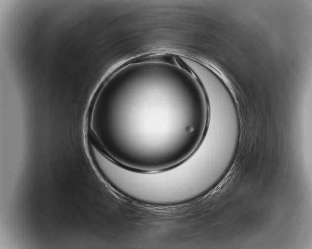 X0000097871048200803211310