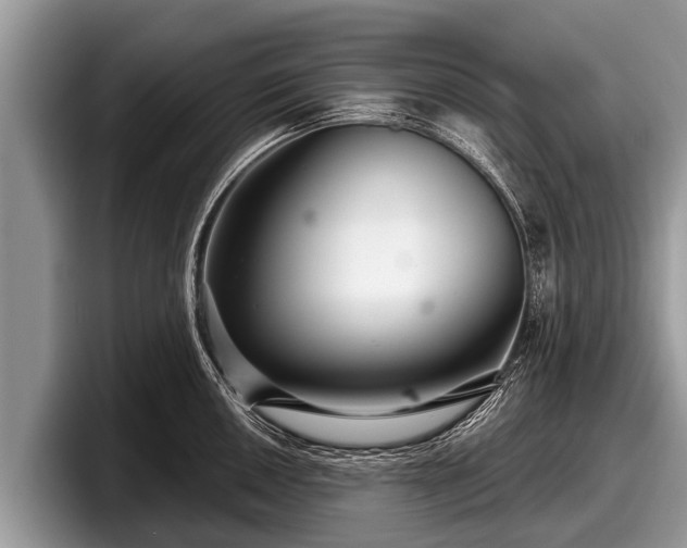 X0000097871050200803211310