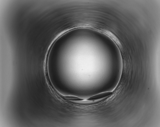 X0000097871052200803211310