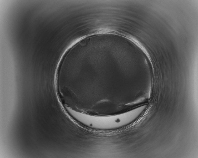X0000097871053200803211310