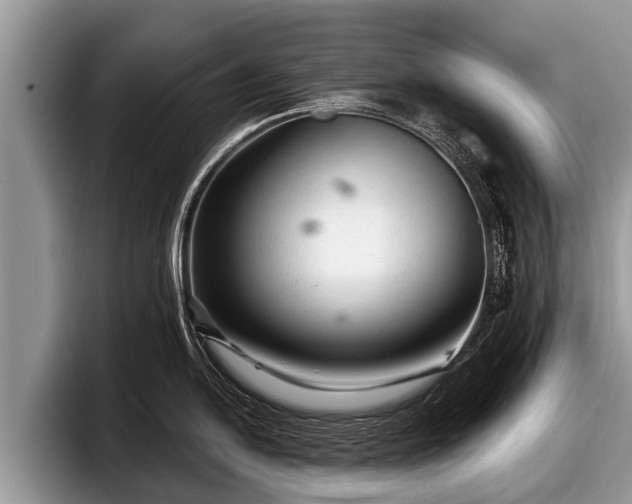X0000097871054200803211310
