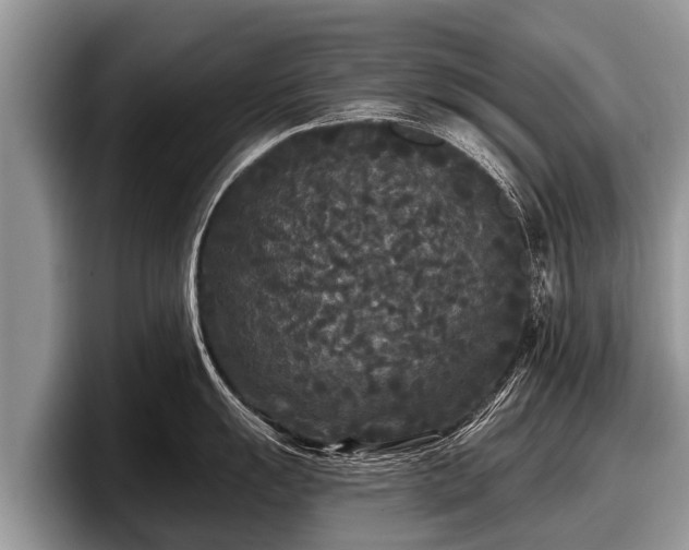 X0000097871055200803211310