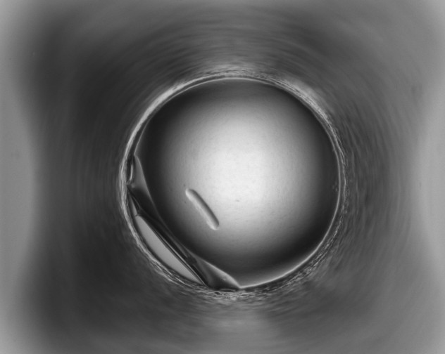 X0000097871056200803211310
