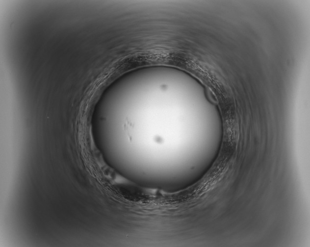 X0000097871057200803211310