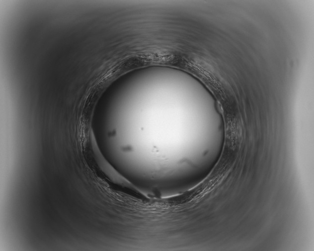 X0000097871058200803211310