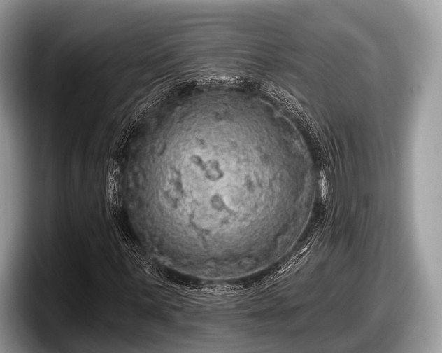 X0000097871059200803211310