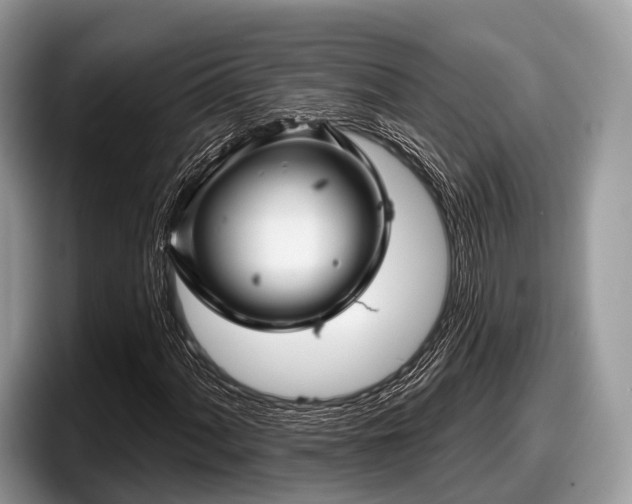 X0000097871060200803211310