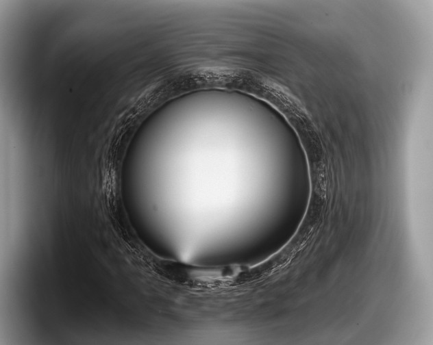 X0000097871061200803211310