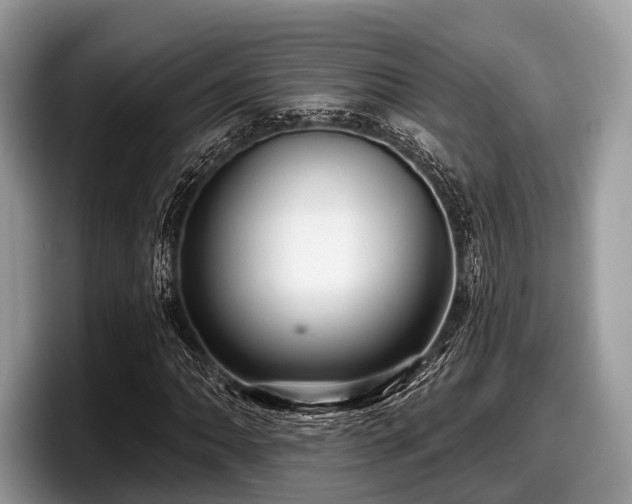 X0000097871062200803211310