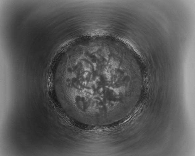 X0000097871063200803211310