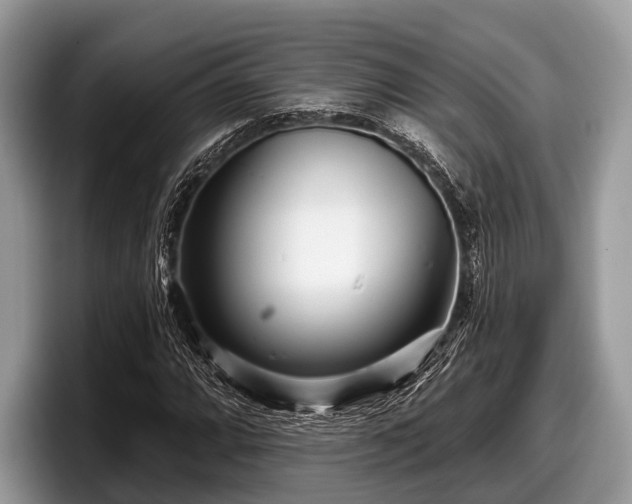 X0000097871064200803211310