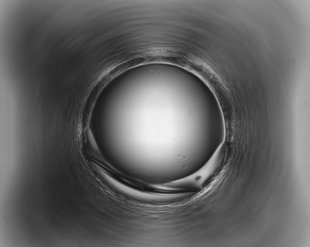 X0000097871065200803211310