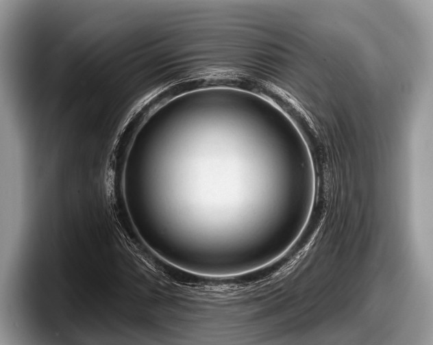 X0000097871066200803211310