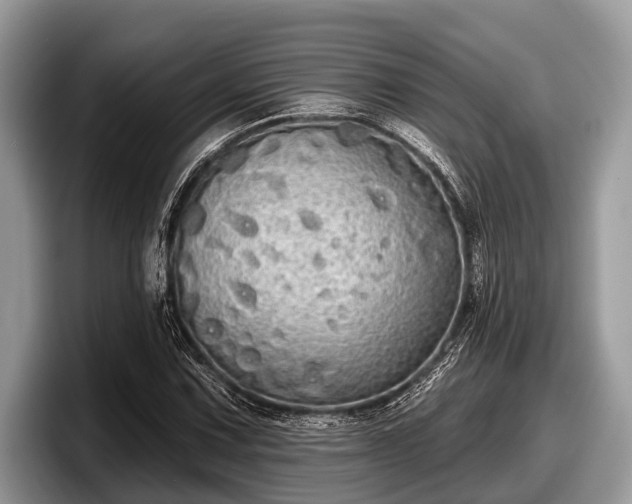 X0000097871067200803211310