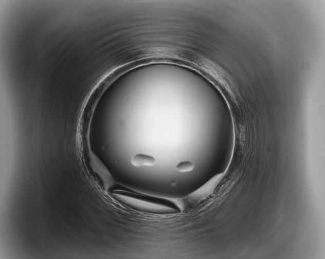 X0000097871068200803211310