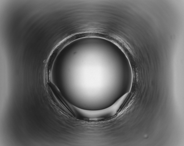 X0000097871069200803211309