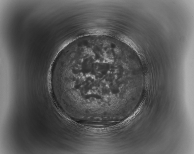 X0000097871071200803211309