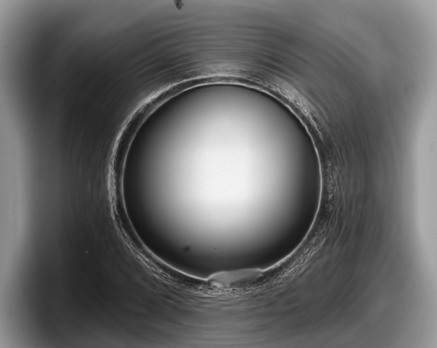 X0000097871072200803211309