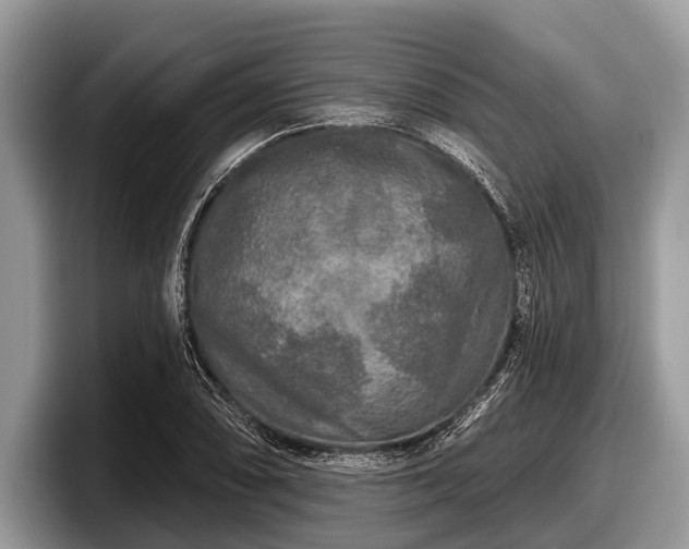 X0000097871074200803211309