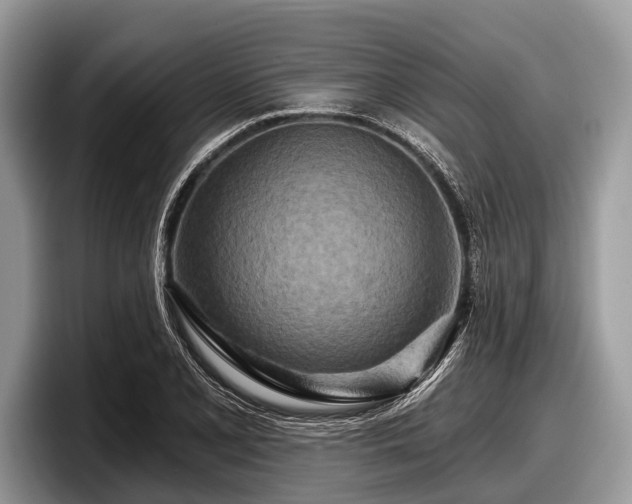 X0000097871077200803211309