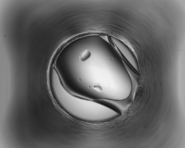 X0000097871080200803211309