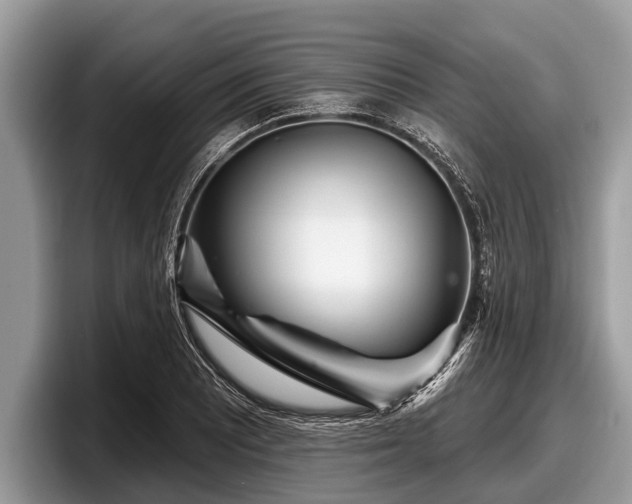 X0000097871081200803211309