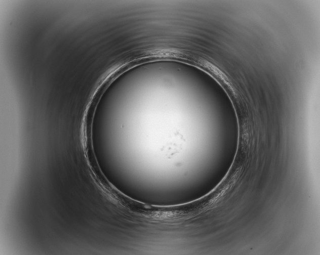 X0000097871082200803211309