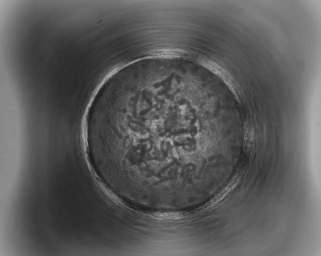 X0000097871083200803211309
