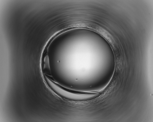X0000097871084200803211309