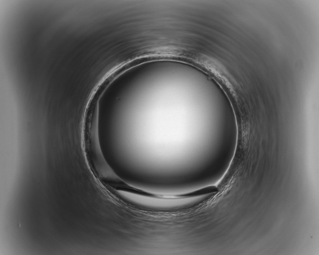 X0000097871085200803211309