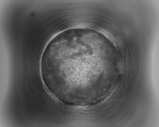 X0000097871086200803211309