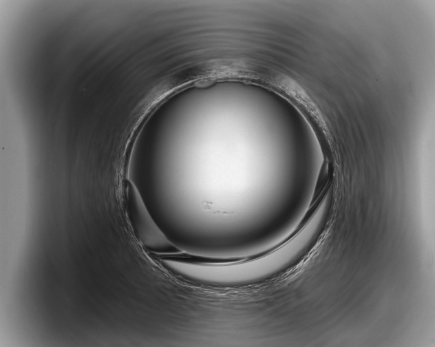 X0000097871089200803211309