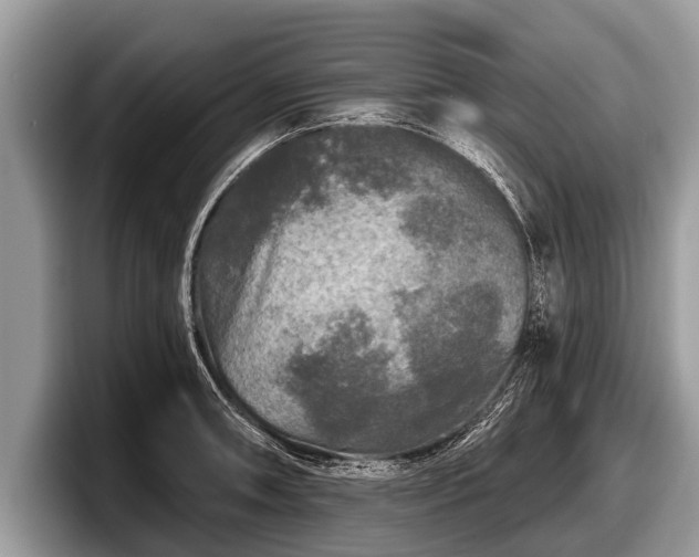 X0000097871090200803211309