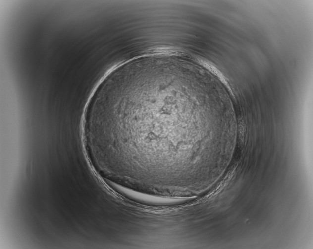 X0000097871091200803211309