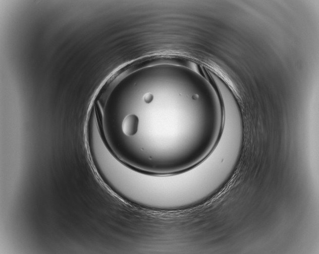 X0000097871092200803211309