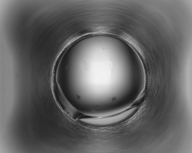 X0000097871093200803211309